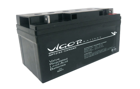 12 V 65 AH Vigor Akü